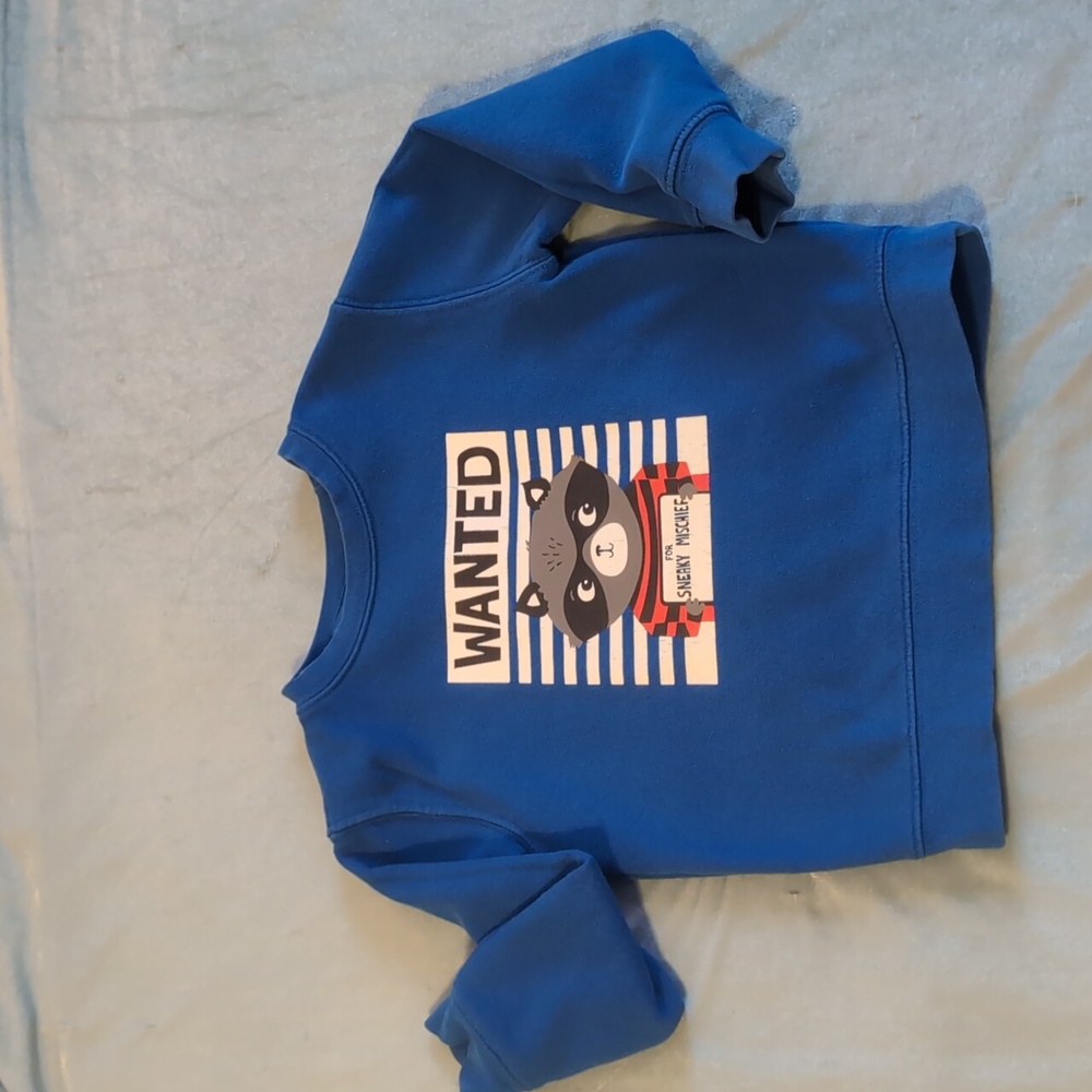 Boys 4T Sweatshirt